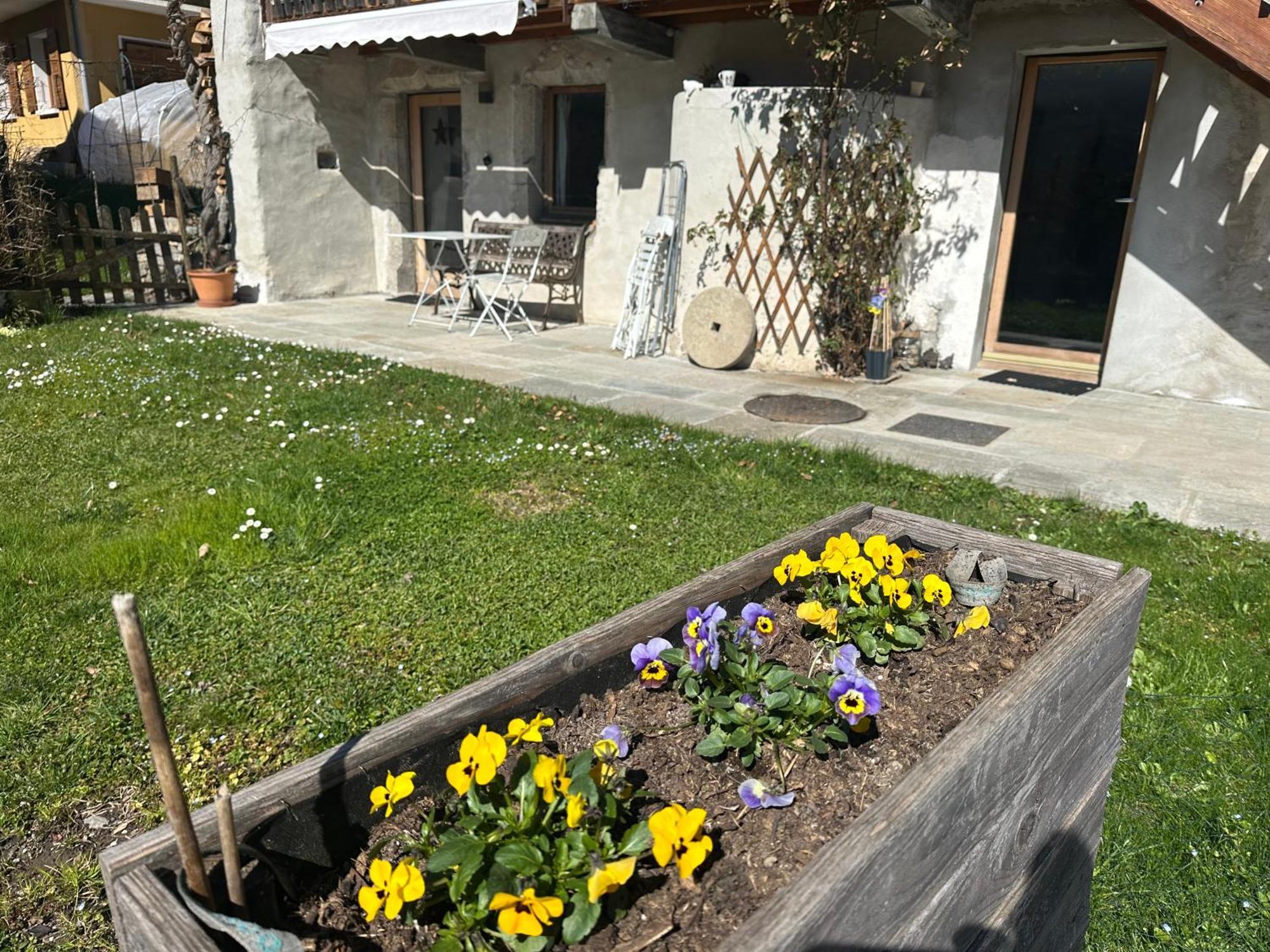 Dans Hameau, Pres Des Pistes Logement De Plein Pied Au Calme Taninges Eksteriør billede